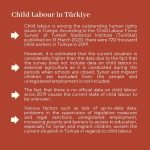 Child Labour (2)