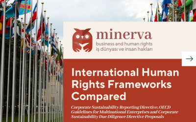 International Human Rights Frameworks Compared