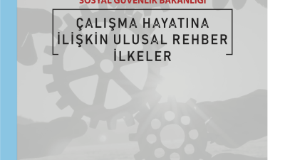 rehber_ilkeler